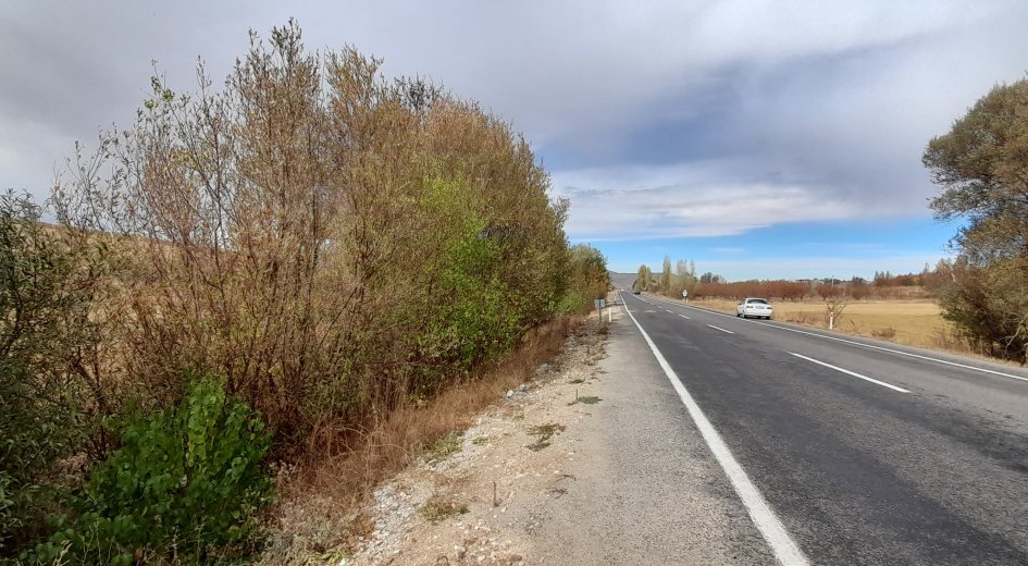 NİĞDE ÇAMARDI YOL ÜZERİ KAVLAKTEPE KÖY GİRİŞ KARŞISI - Fotoğraf 1 | Turasan Emlak Niğde